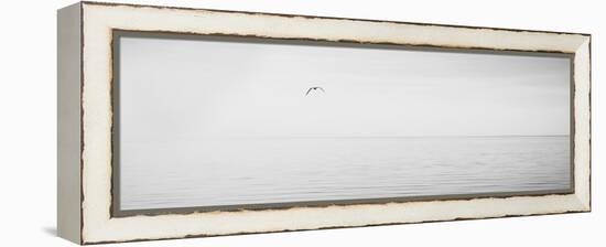 Black & White Water Panel XVI-James McLoughlin-Framed Premier Image Canvas