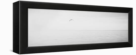 Black & White Water Panel XVI-James McLoughlin-Framed Premier Image Canvas