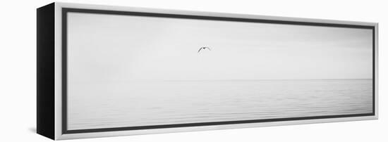 Black & White Water Panel XVI-James McLoughlin-Framed Premier Image Canvas