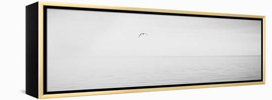 Black & White Water Panel XVI-James McLoughlin-Framed Premier Image Canvas