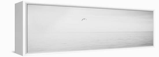Black & White Water Panel XVI-James McLoughlin-Framed Premier Image Canvas