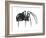 Black Widow (Latrodectus), Spider, Arachnids-Encyclopaedia Britannica-Framed Art Print