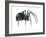 Black Widow (Latrodectus), Spider, Arachnids-Encyclopaedia Britannica-Framed Art Print