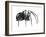 Black Widow (Latrodectus), Spider, Arachnids-Encyclopaedia Britannica-Framed Art Print