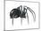 Black Widow (Latrodectus), Spider, Arachnids-Encyclopaedia Britannica-Mounted Art Print