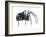 Black Widow (Latrodectus), Spider, Arachnids-Encyclopaedia Britannica-Framed Art Print