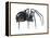 Black Widow (Latrodectus), Spider, Arachnids-Encyclopaedia Britannica-Framed Stretched Canvas