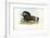 Black Wildebeest, 1863-79-Raimundo Petraroja-Framed Giclee Print