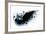 Black Wings-Sergey Nivens-Framed Art Print