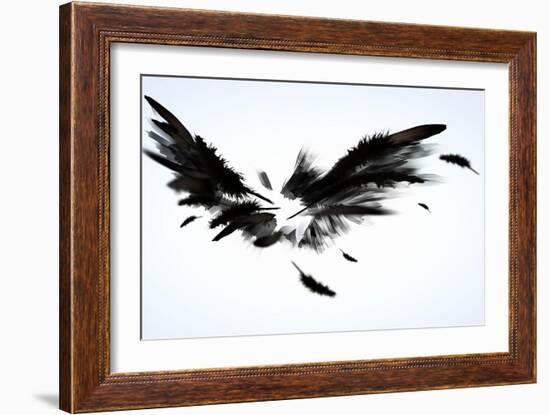 Black Wings-Sergey Nivens-Framed Art Print