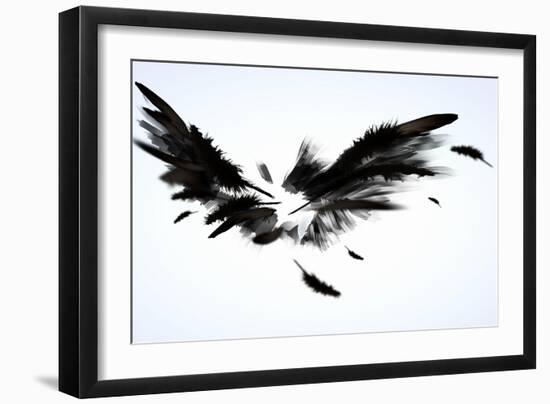 Black Wings-Sergey Nivens-Framed Art Print