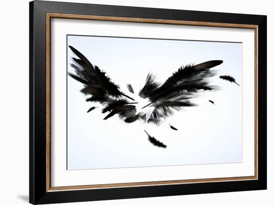 Black Wings-Sergey Nivens-Framed Art Print