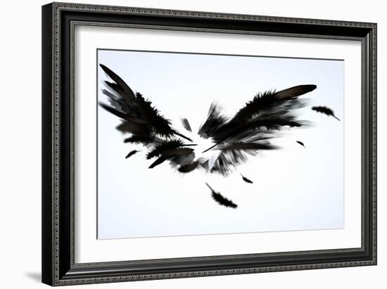 Black Wings-Sergey Nivens-Framed Art Print