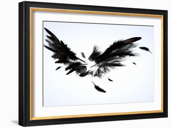 Black Wings-Sergey Nivens-Framed Art Print