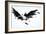 Black Wings-Sergey Nivens-Framed Art Print