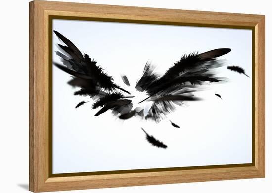 Black Wings-Sergey Nivens-Framed Stretched Canvas