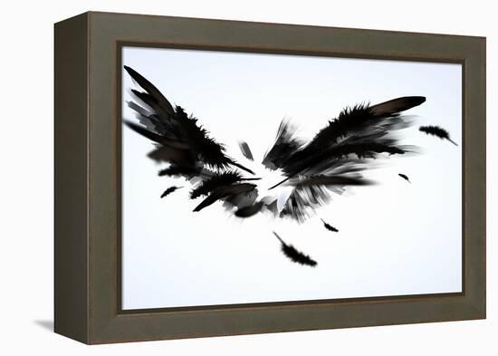 Black Wings-Sergey Nivens-Framed Stretched Canvas