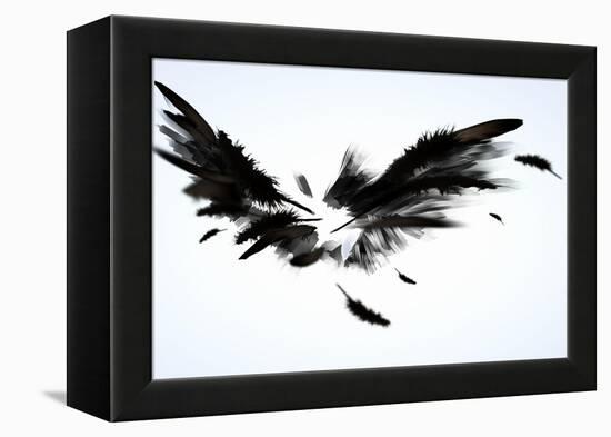 Black Wings-Sergey Nivens-Framed Stretched Canvas