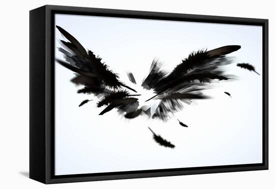 Black Wings-Sergey Nivens-Framed Stretched Canvas