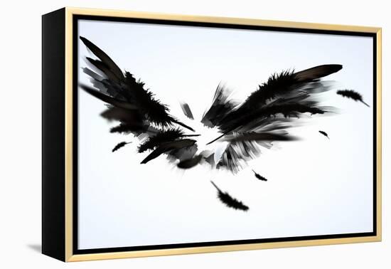 Black Wings-Sergey Nivens-Framed Stretched Canvas