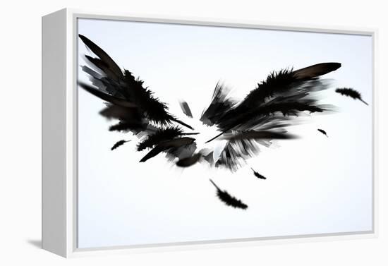 Black Wings-Sergey Nivens-Framed Stretched Canvas