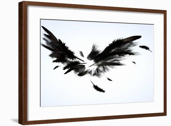 Black Wings-Sergey Nivens-Framed Art Print