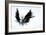 Black Wings-Sergey Nivens-Framed Art Print