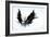 Black Wings-Sergey Nivens-Framed Art Print