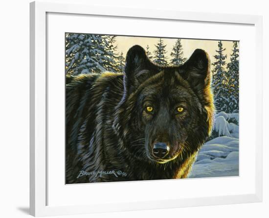 Black Wolf-Bruce Miller-Framed Giclee Print