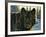 Black Wolf-Bruce Miller-Framed Giclee Print