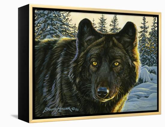 Black Wolf-Bruce Miller-Framed Premier Image Canvas