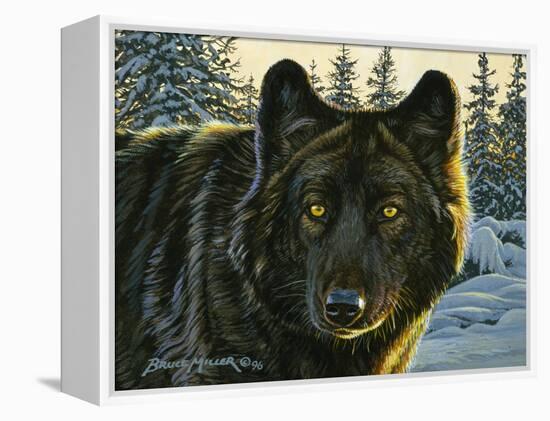 Black Wolf-Bruce Miller-Framed Premier Image Canvas