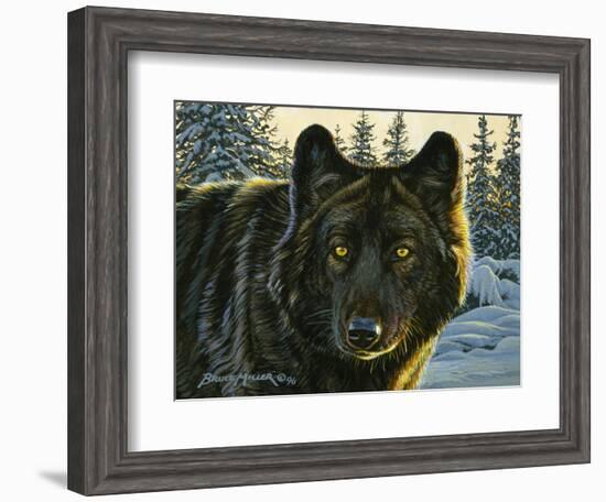 Black Wolf-Bruce Miller-Framed Giclee Print