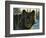 Black Wolf-Bruce Miller-Framed Giclee Print