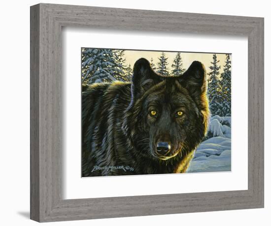 Black Wolf-Bruce Miller-Framed Giclee Print