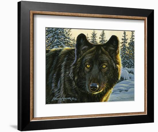 Black Wolf-Bruce Miller-Framed Giclee Print