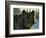 Black Wolf-Bruce Miller-Framed Giclee Print