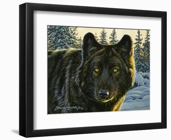 Black Wolf-Bruce Miller-Framed Giclee Print