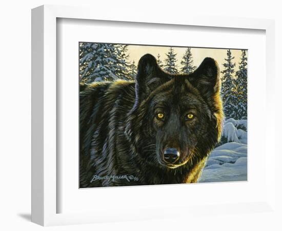 Black Wolf-Bruce Miller-Framed Giclee Print