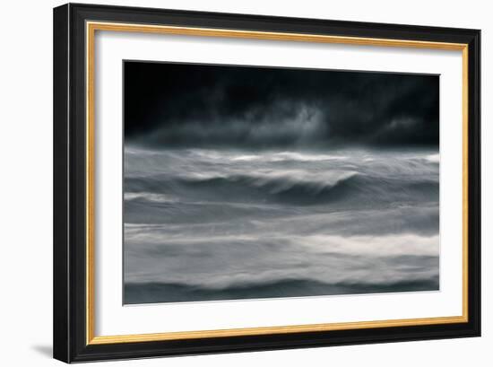 Black Wonder-David Baker-Framed Photographic Print