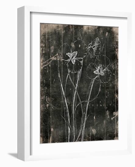 Black Wood-Jace Grey-Framed Art Print