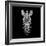 Black Zebra Head Mesh-NaxArt-Framed Art Print