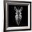 Black Zebra Head-NaxArt-Framed Art Print