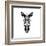 Black Zebra-Lisa Kroll-Framed Art Print