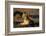 Blackbacked Jackal at Dawn-Paul Souders-Framed Photographic Print