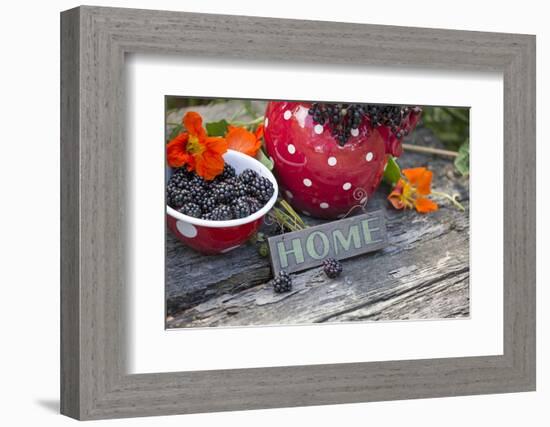 Blackberries and Blossoms, Red and White Dishes, Wooden Bank, Sign, Home-Andrea Haase-Framed Photographic Print