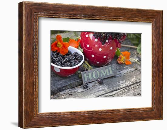 Blackberries and Blossoms, Red and White Dishes, Wooden Bank, Sign, Home-Andrea Haase-Framed Photographic Print