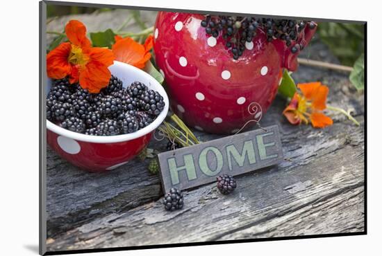 Blackberries and Blossoms, Red and White Dishes, Wooden Bank, Sign, Home-Andrea Haase-Mounted Photographic Print