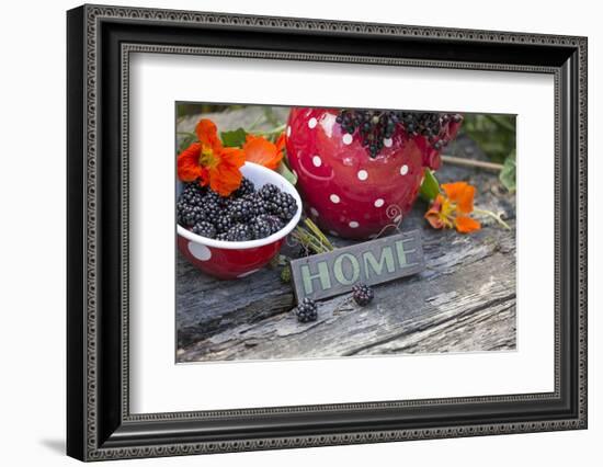 Blackberries and Blossoms, Red and White Dishes, Wooden Bank, Sign, Home-Andrea Haase-Framed Photographic Print