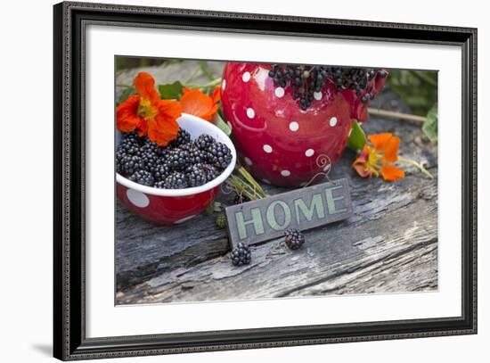 Blackberries and Blossoms, Red and White Dishes, Wooden Bank, Sign, Home-Andrea Haase-Framed Photographic Print